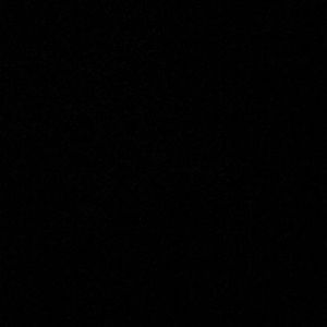 Meet your Posher, Noah